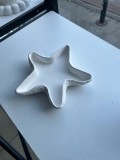 Starfish Dekoratif Tabak