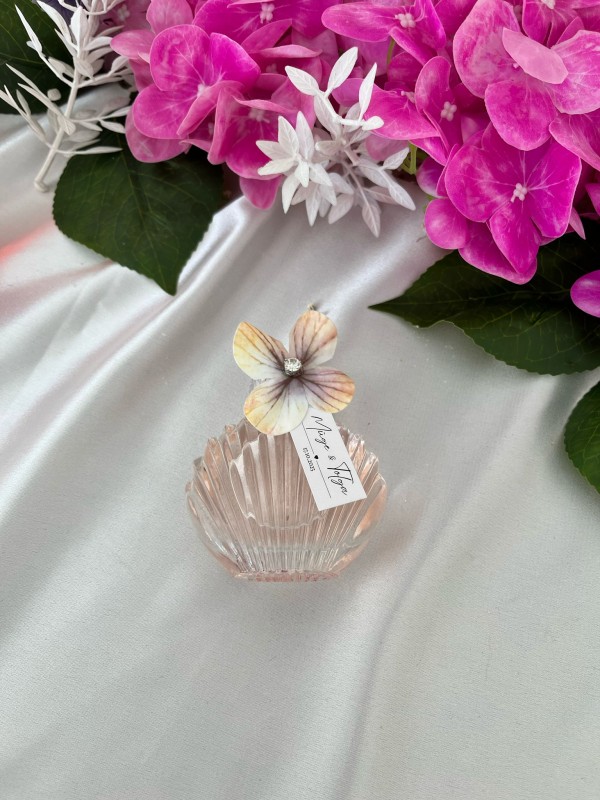 Pine No.5 Cam Kolonya Hediyelik